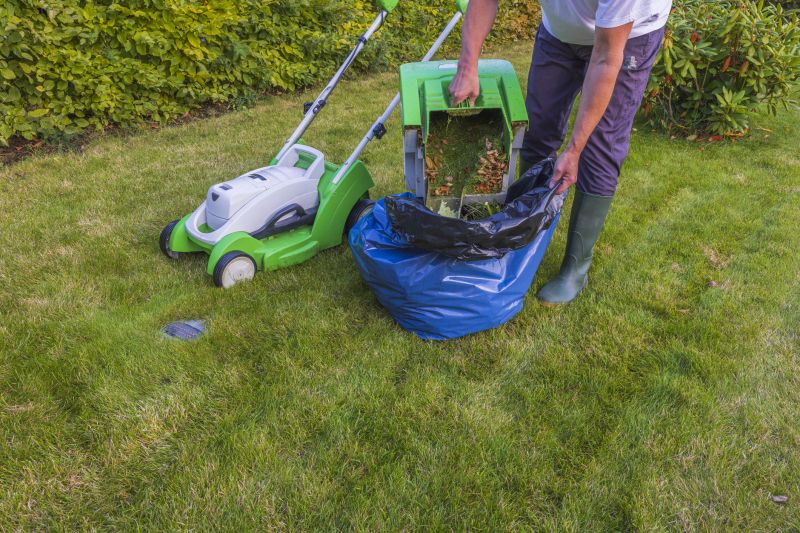 Home Lawn Maintenance