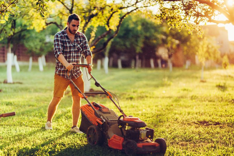 Home Lawn Maintenance