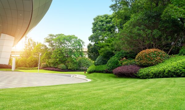 Cost of Commercial Lawn Mowing in Boise