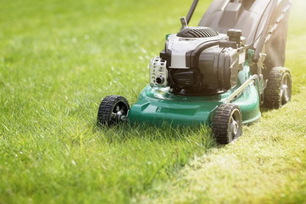 Cost of Yard Cutting in Boise