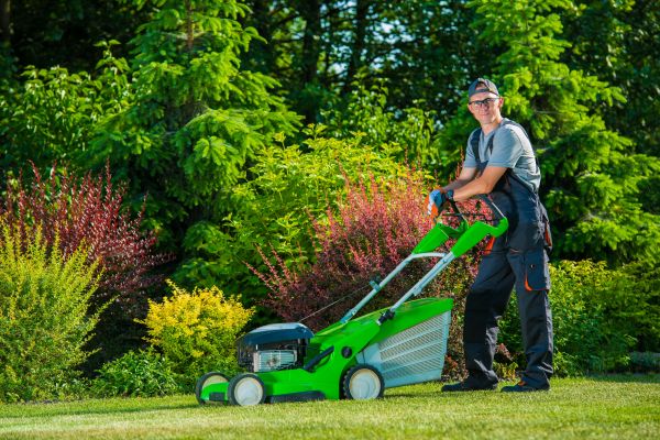 Cost of Yard Work Service in Boise