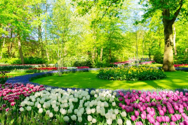 Spring Lawn Care in Boise