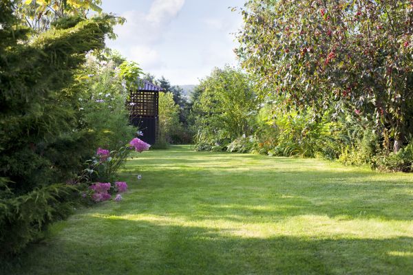 Cost of Yard Upkeep Service in Boise