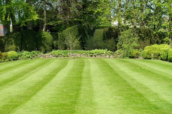 Cost of Grass Care Service in Boise