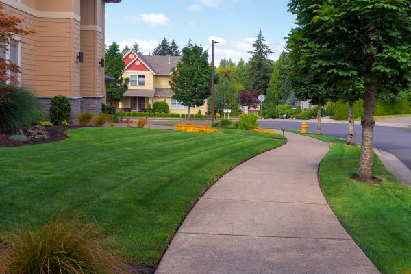 Cost of Home Lawn Maintenance in Boise