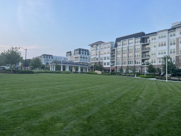 Cost of Urban Lawn Care in Boise