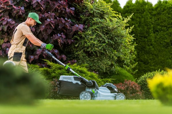 Cost of Lawn Management in Boise