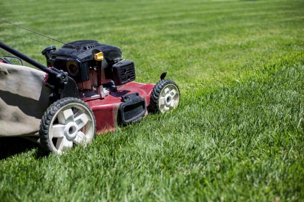 Cost of Routine Lawn Care in Boise