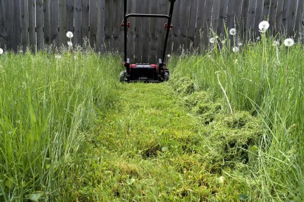 Cost of High Grass Mowing in Boise