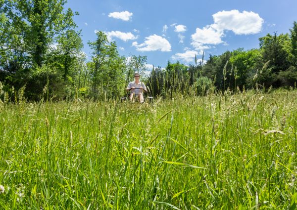 Cost of Long Grass Mowing in Boise