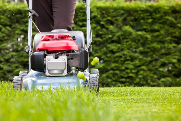Grass Trimming Service in Boise