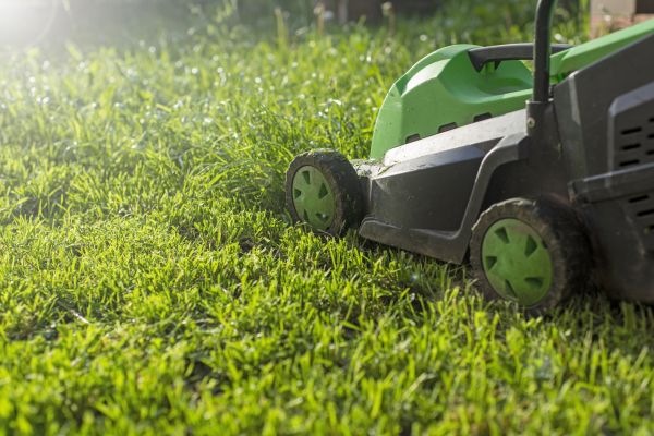 Cost of Yard Trimming in Boise