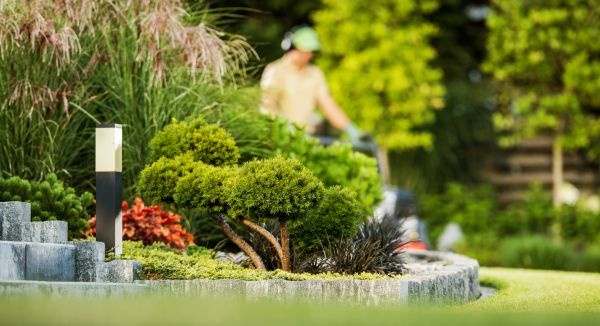 Cost of Residential Yard Maintenance in Boise
