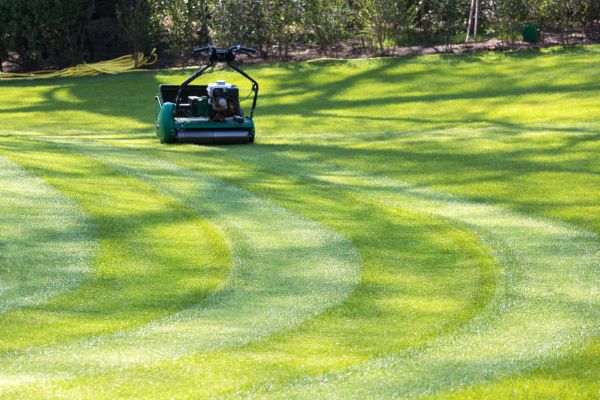Cost of Business Lawn Mowing in Boise