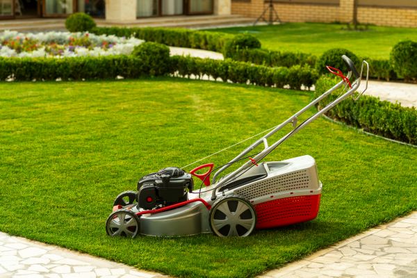Cost of Business Grass Cutting in Boise