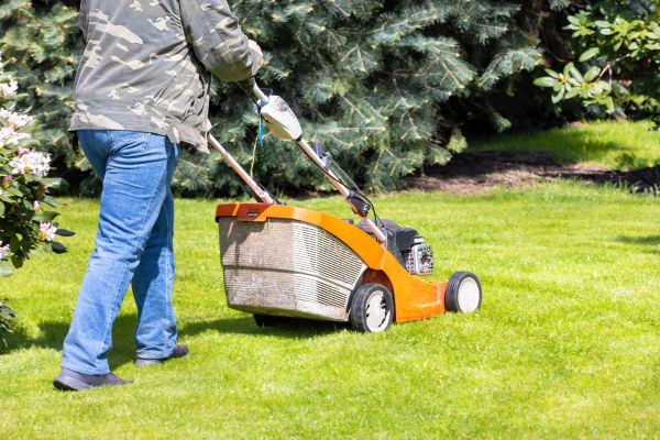 Springtime Lawn Care in Boise