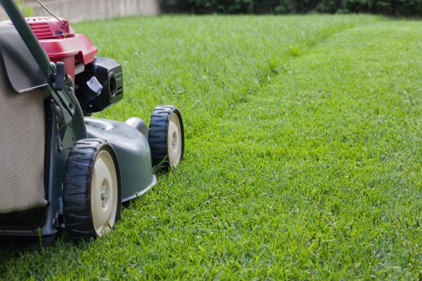 Spring Lawn Maintenance in Boise