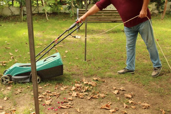 Cost of Leaves Mowing in Boise