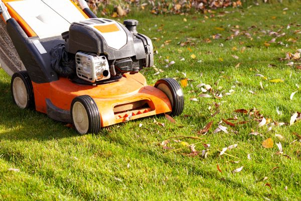 Cost of Fall Mowing in Boise