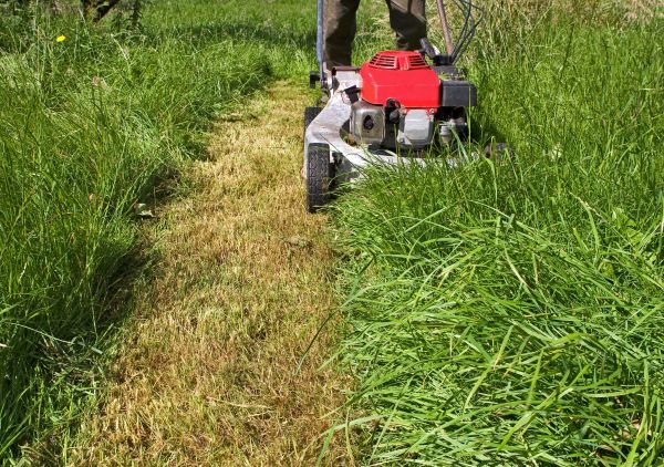 Cost of Leaf Mowing in Boise