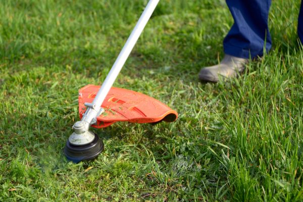 Lawn Weed Whacking in Boise
