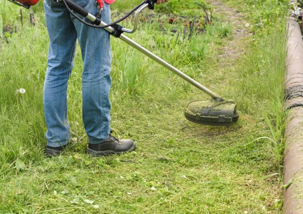 Cost of Tall Grass Trimming in Boise